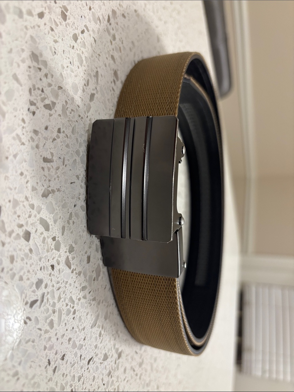 Tan Canvas Belt with Polished Gunmetal Buckle